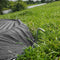 The Footprint - Bell Tent Groundsheet Protector