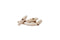 Wooden_tent_Toggles